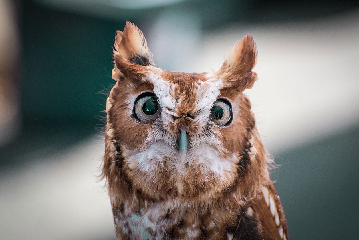 Какое влияние оказывает финансовая грамотность на управление компанией и принятие решений?